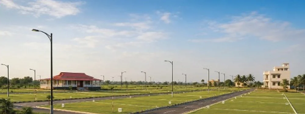 Developed plots & internal road